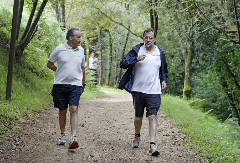 rajoybambas